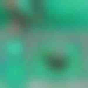 Подложка за Пресаждане на Растения | FLORAMAT