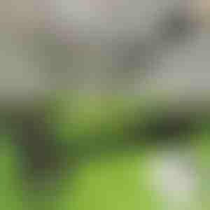 Уред за премахване на плевели в изправено положение | RUNCO