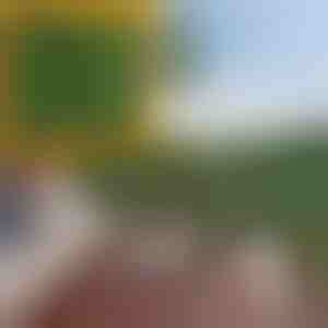 Панел с изкуствени листа | LEAFPANEL