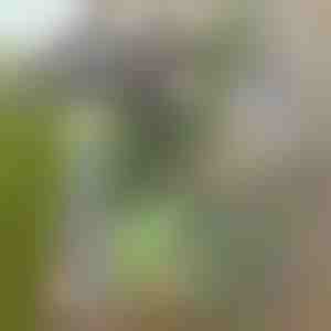 Градинска мотика за лесно премахване на плевели | GRASSOE