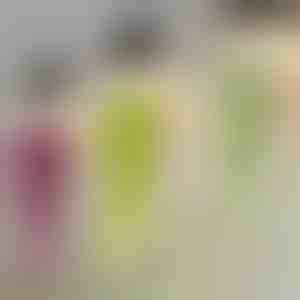 Декоративно растение с висулка | IVYORA