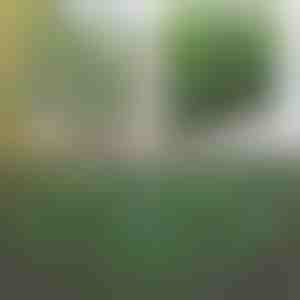 Декоративна и практична ограда за тераса и градина | GREENFENCE