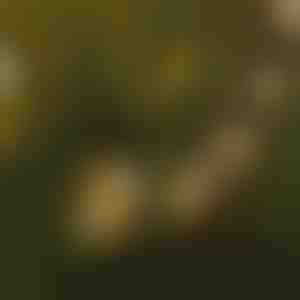 LED лампички за осветление | YARDBULBS